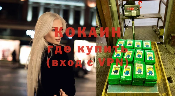 твердый Магас