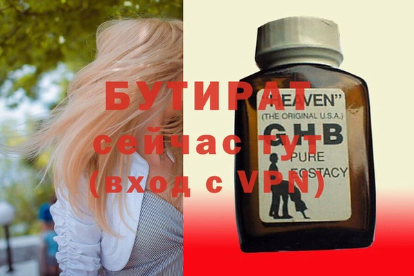 твердый Магас