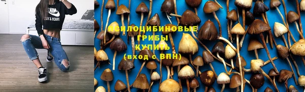 тгк Магадан